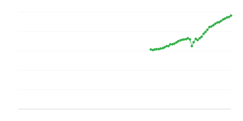 Nettó árbevétel – szakmai, tudományos és műszaki tevékenységek